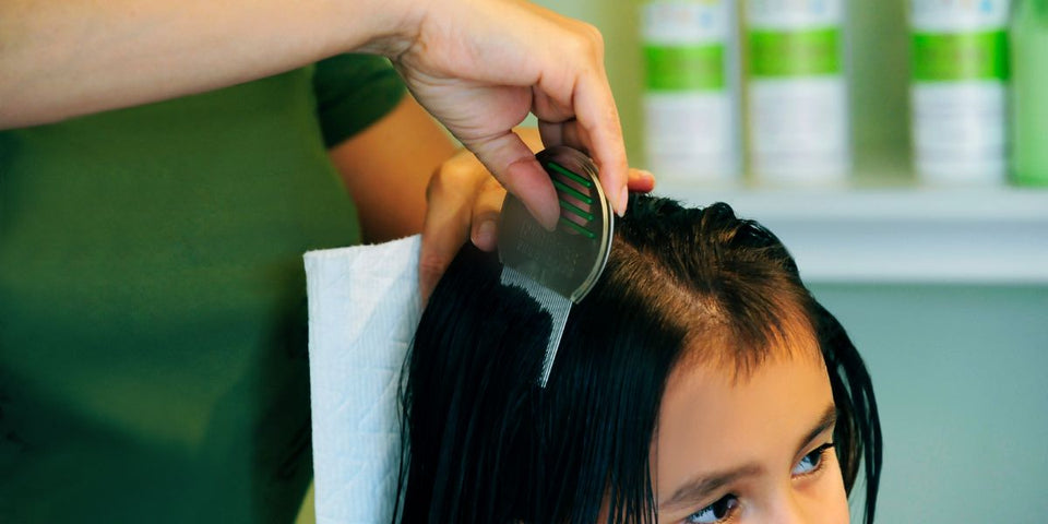 why you need a lice comb